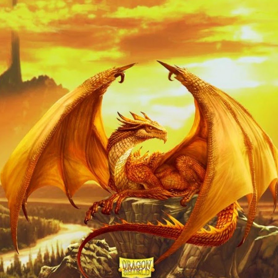 Включи золотой дракон. Синий дракон красный дракон желтый дракон. Оранжевый дракон. Дракон арт. Дракон фэнтези.