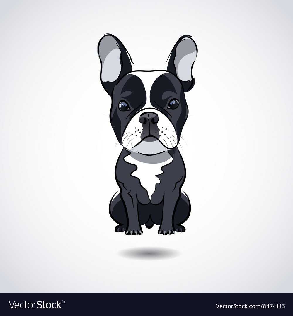 Французский бульдог иллюстрация флэт