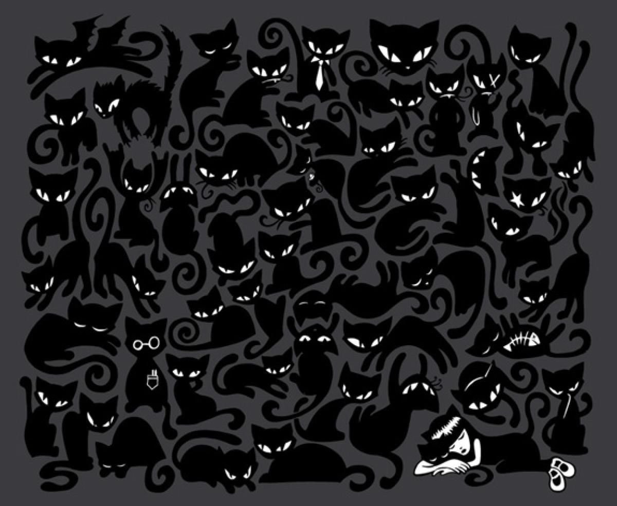 Много черных кошек