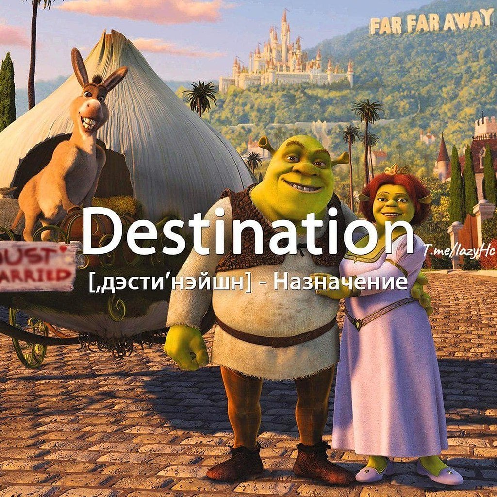 Шрек и Фиона бегут по полю