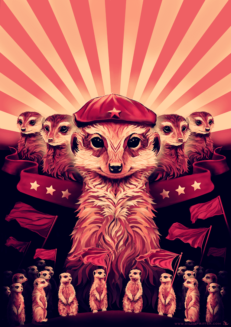 Животные строители сурикаты