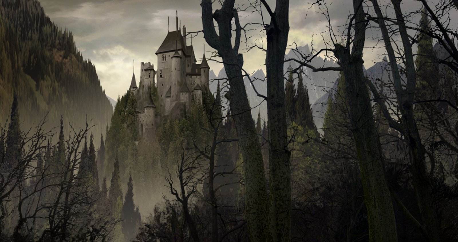 Загадочный замок. Трансильвания замок Дракулы Готический. Отель Трансильвания замок Дракулы. Замок Дракулы в Румынии. Холодный лес Румыния замок Дракулы.