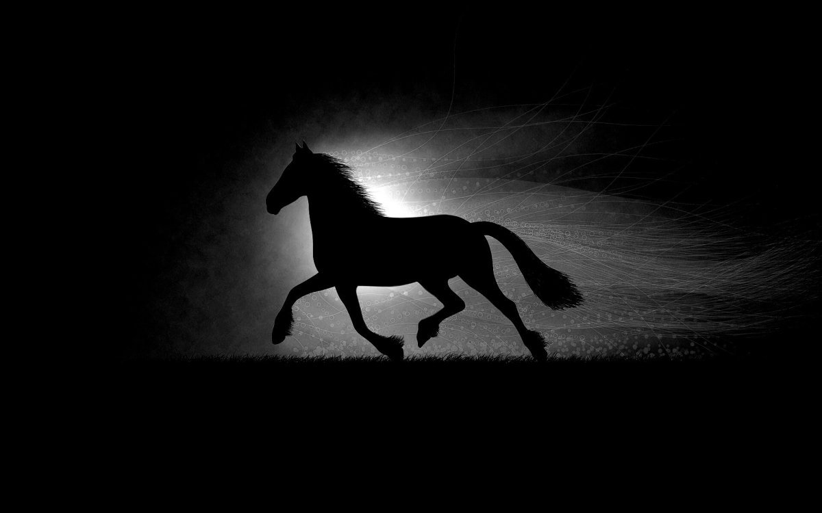 Черный конь