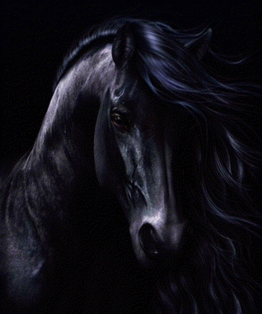 Ахалтекинская лошадь черная