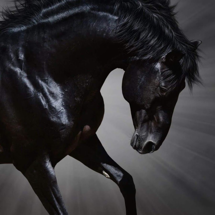 «Империя невидимок» Юхи Хелминена (Juha Helminen)