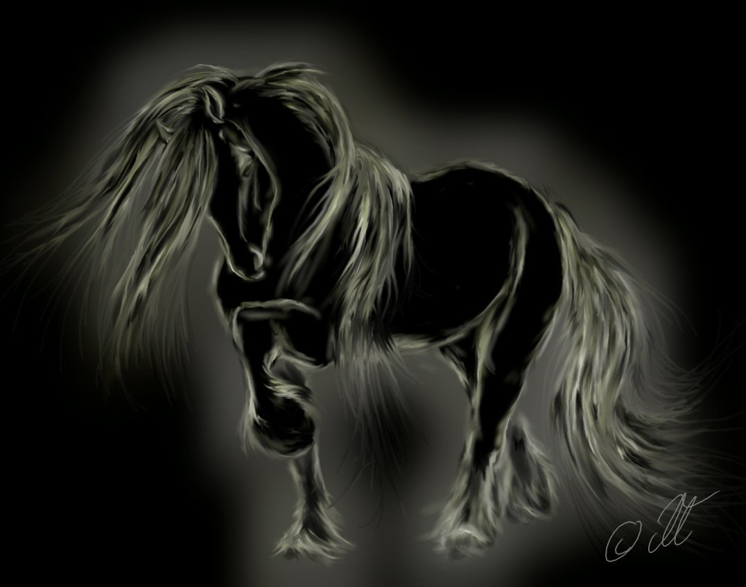 Когут Блэк Хорс