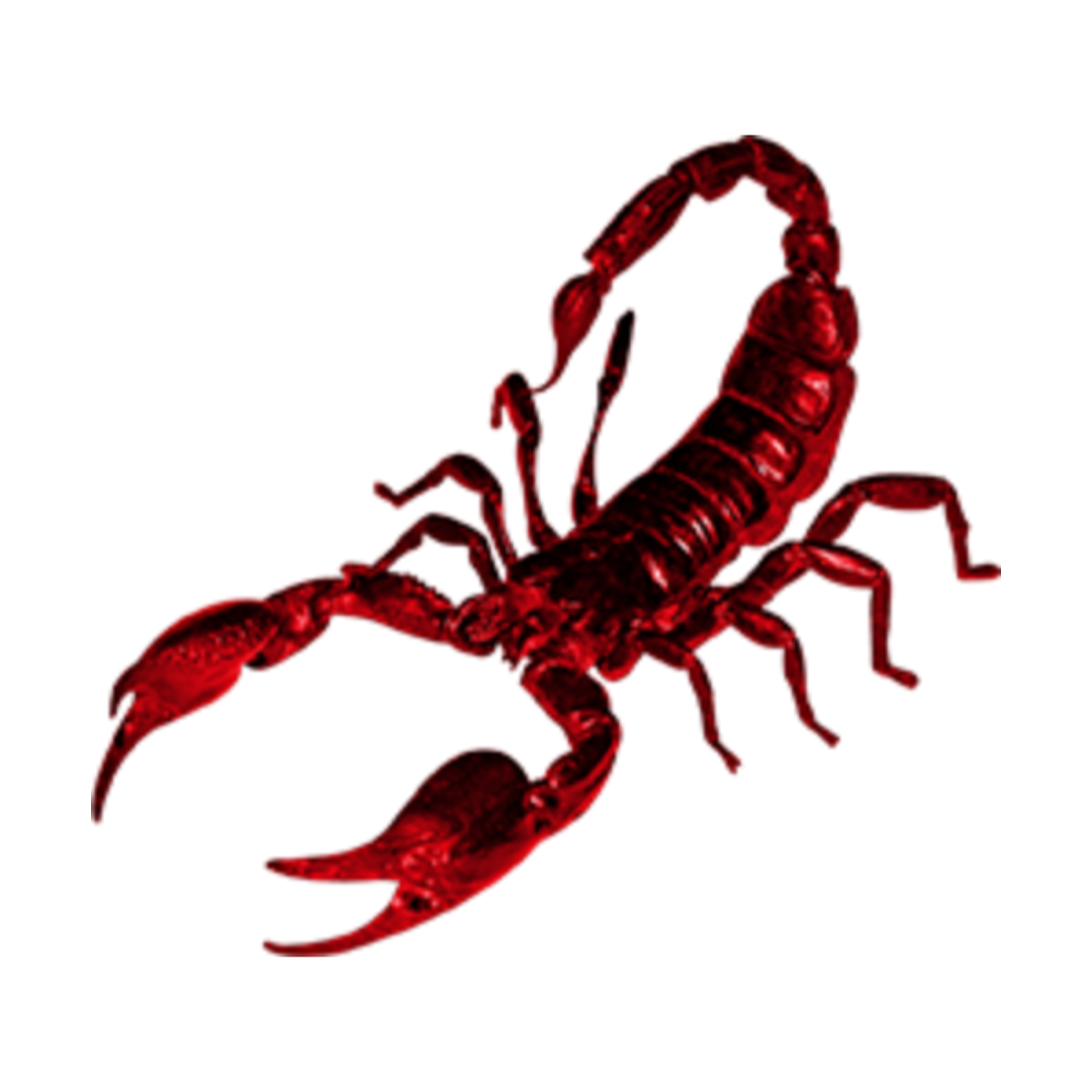 Scorpion white. Прозрачный Скорпион. Скорпион без фона. Скорпион на прозрачном фоне. Красный Скорпион.