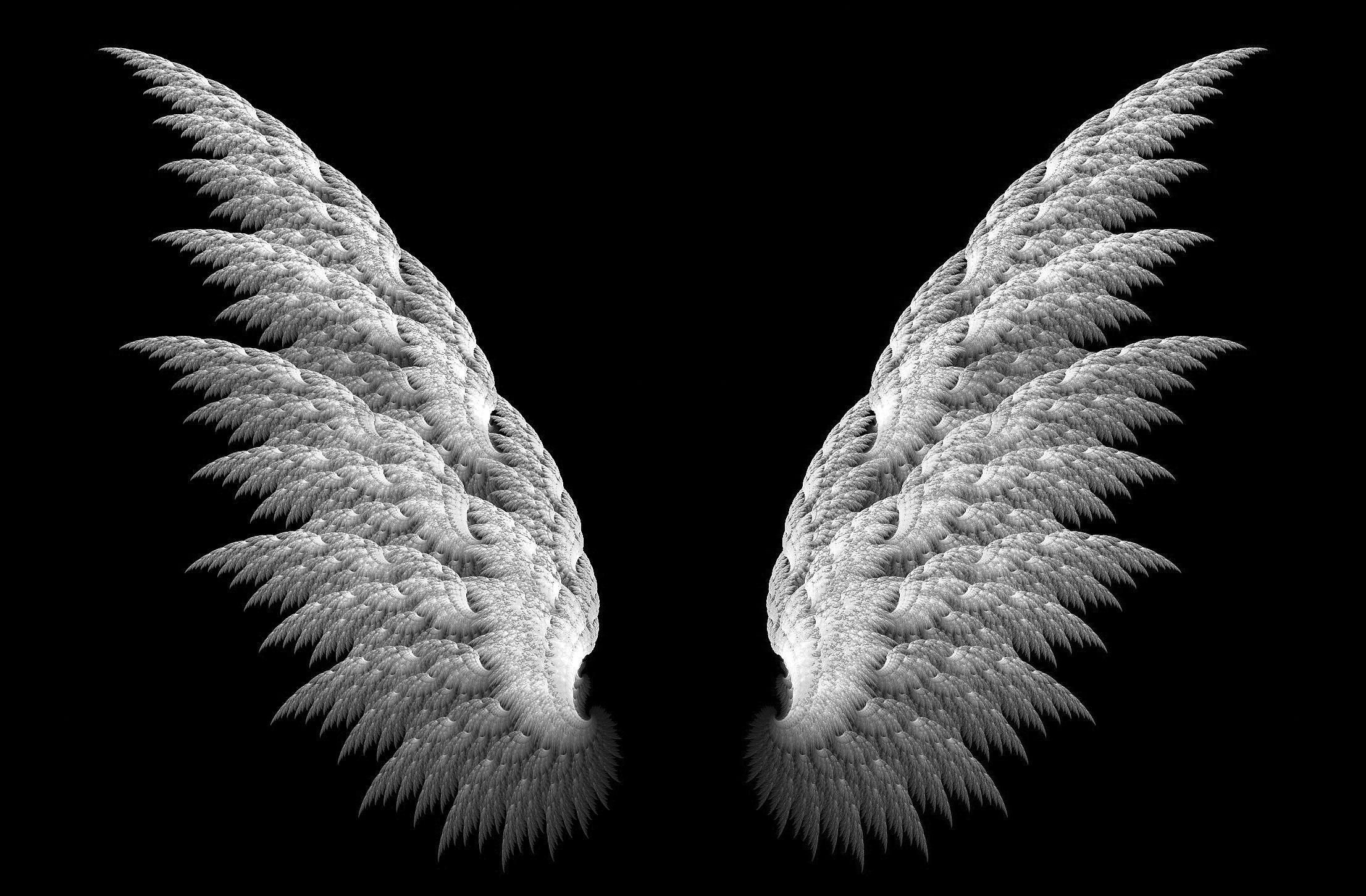Крылья ангела фон. Белые Крылья на черном фоне. Крылья на черном фоне