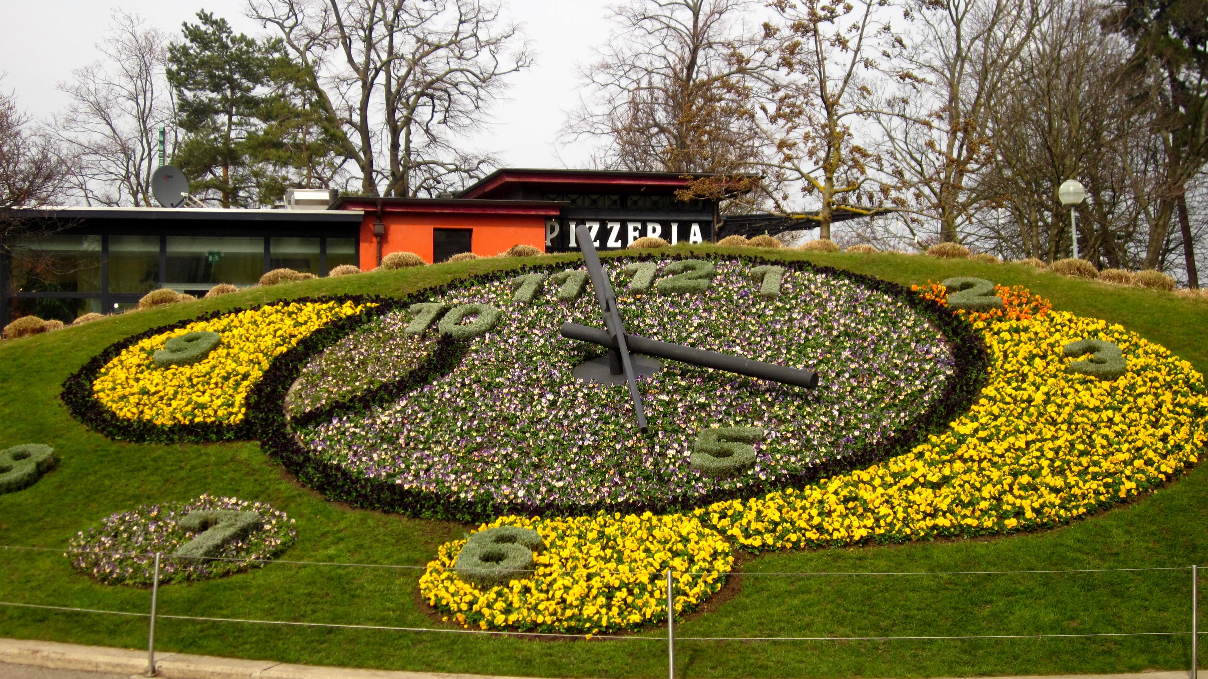 Цветочные часы краснодар. Швейцария Женева цветочные часы. Ботанический сад Упсала.