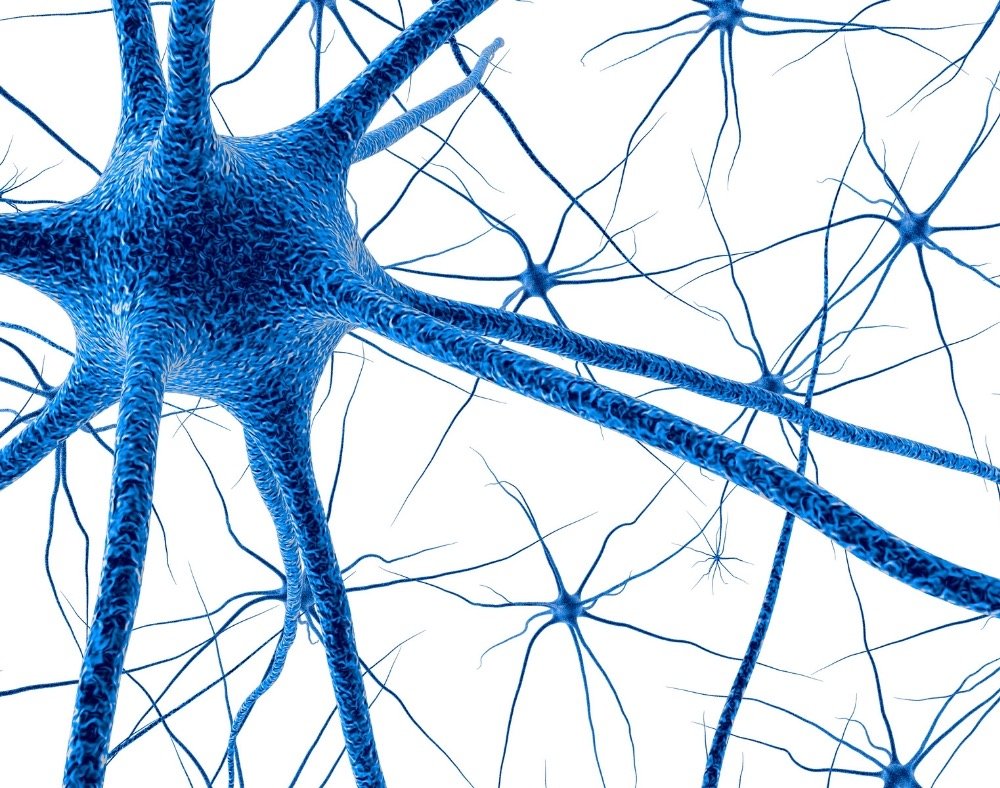 Нервная клетка