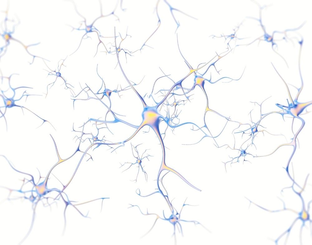 Нейрон красивый