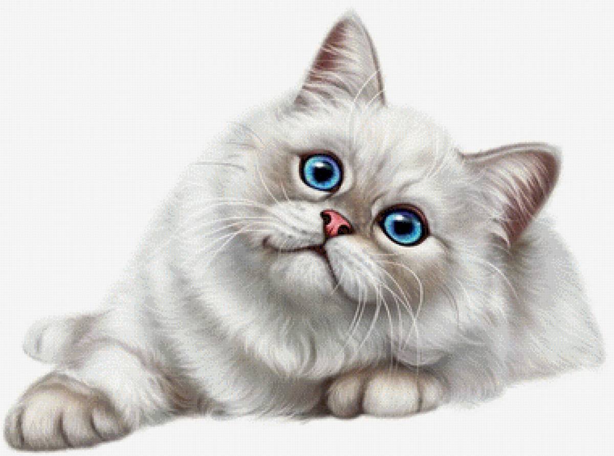 Красивый кот на прозрачном фоне