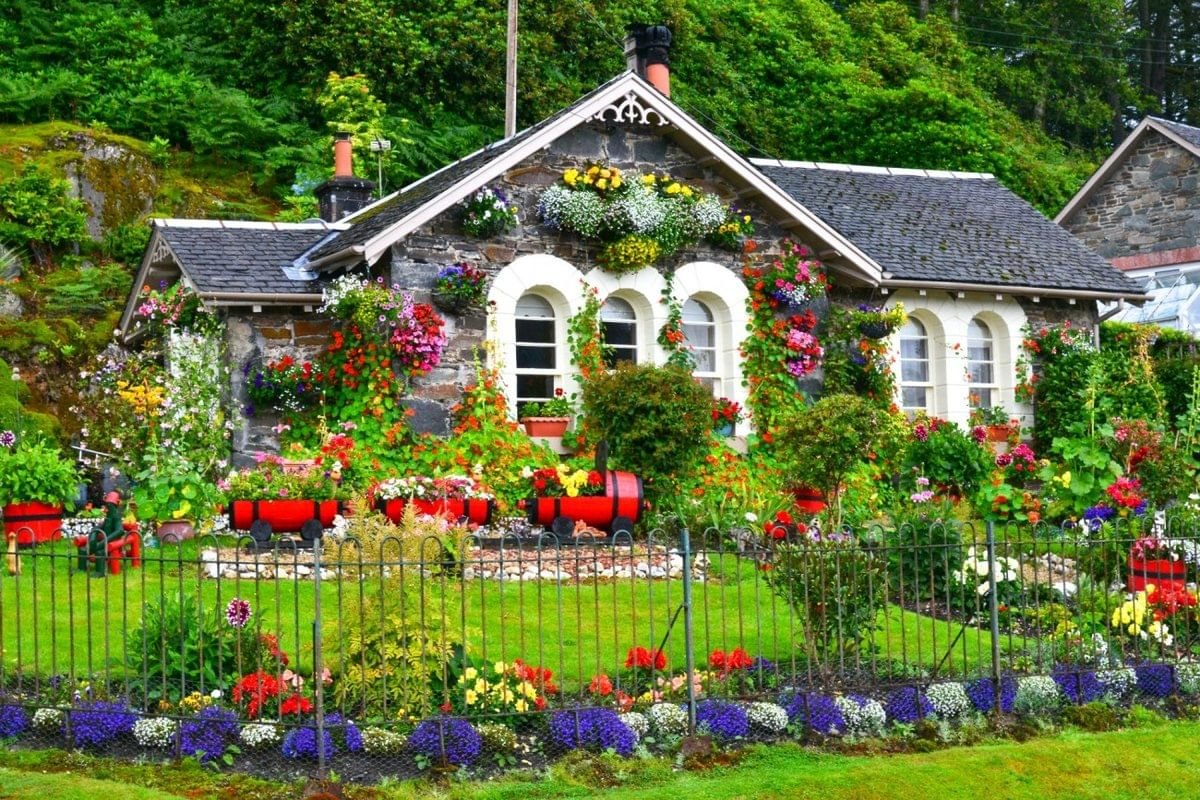 Сказочный домик в цветах