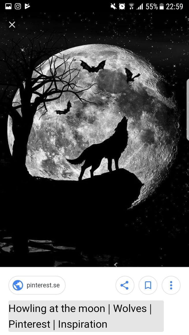 Силуэт волка на фоне Луны
