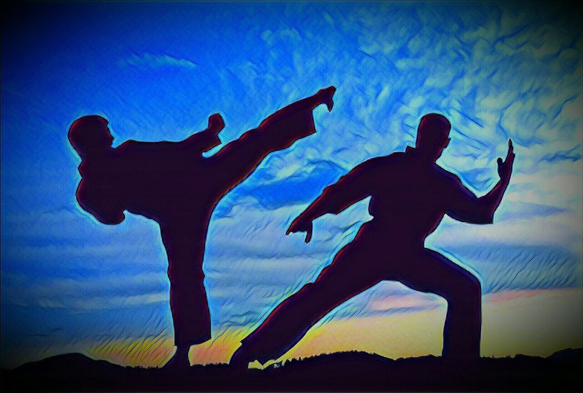 Эстетика каратэ