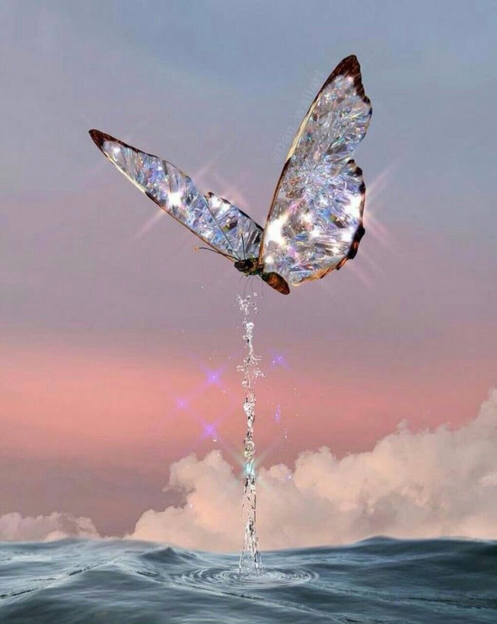 Много бабочек на черном фоне