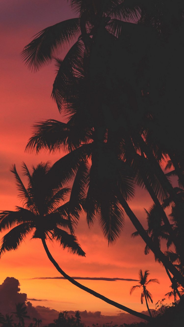 Красная Пальма