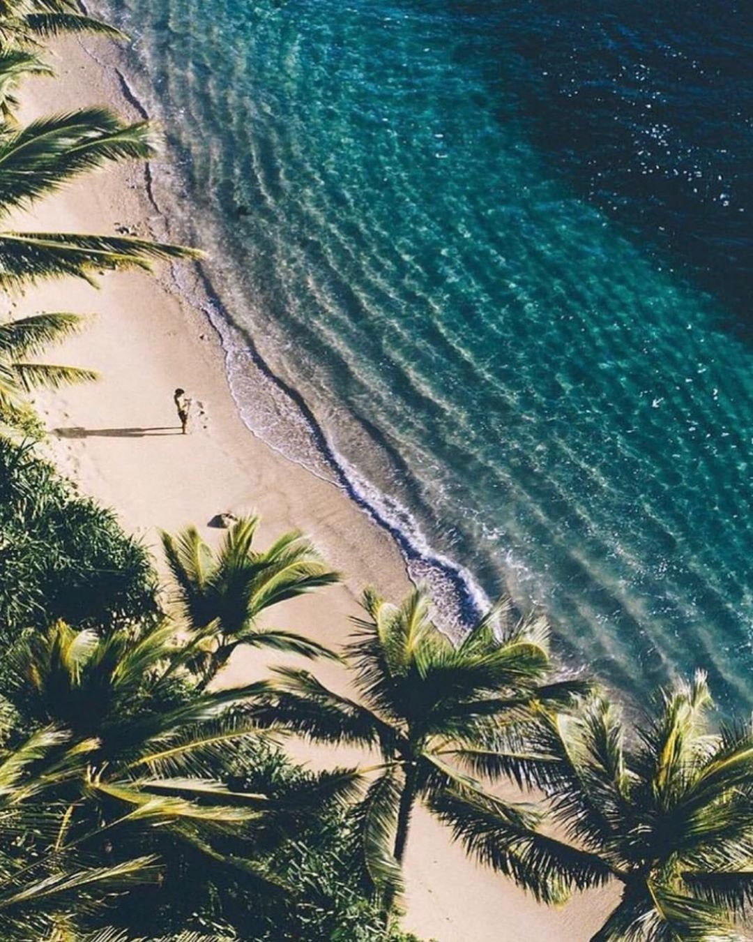 Кокосовый Оазис Майами