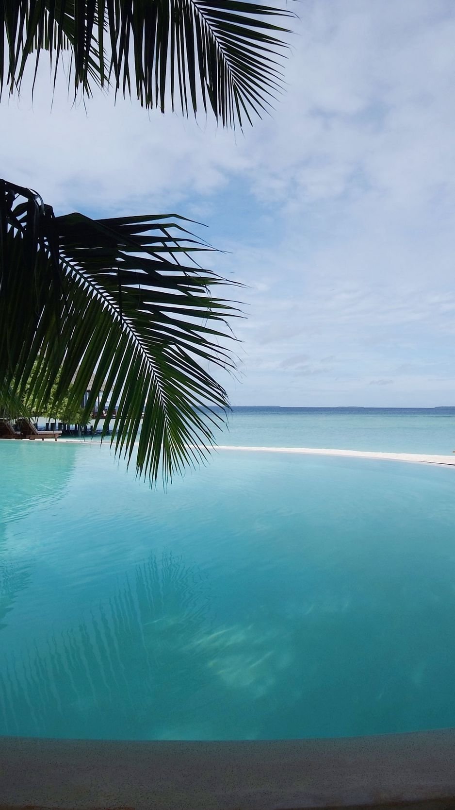 Бали пальмы и море