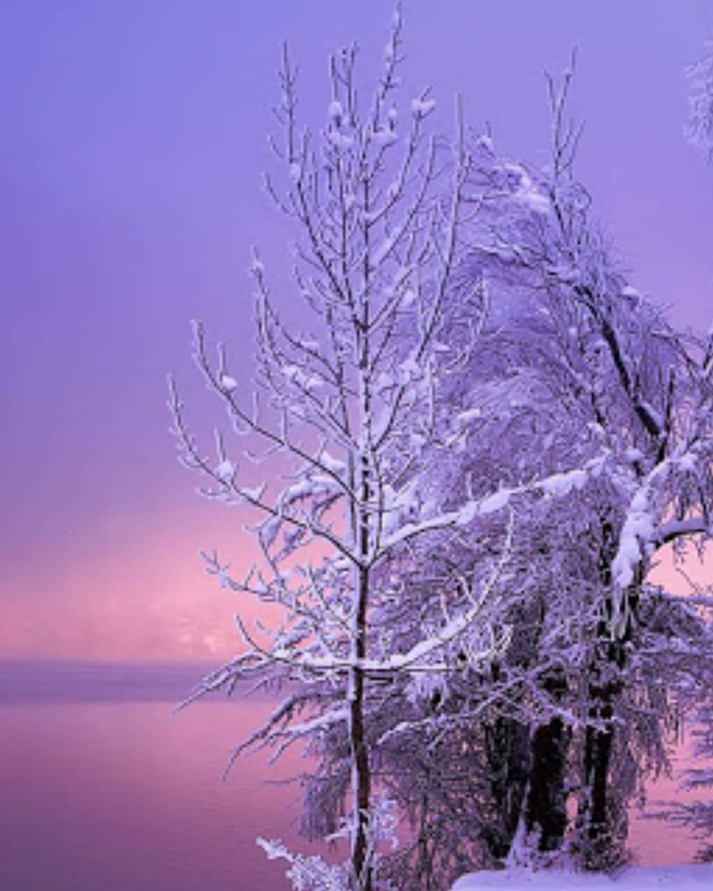 Нежная зима