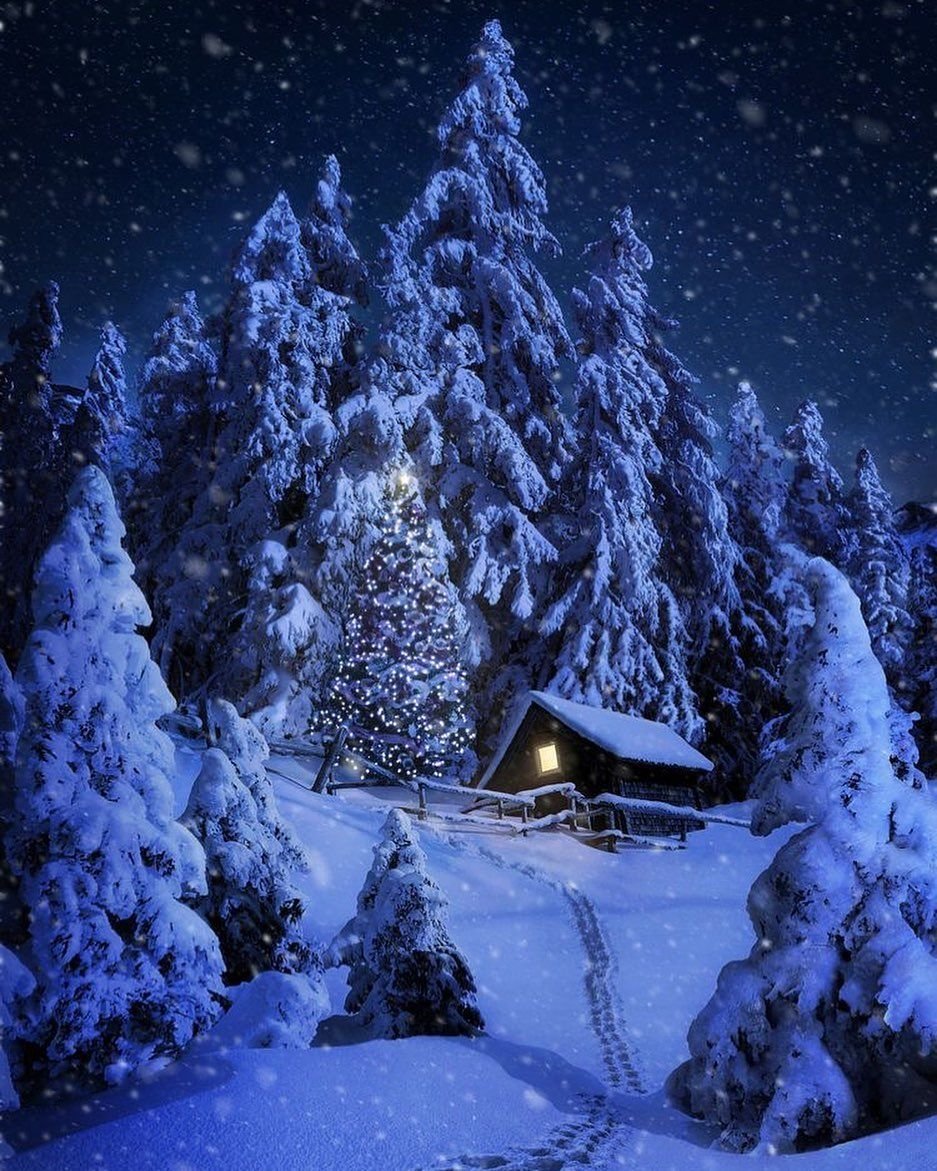 Обои на телефон зима