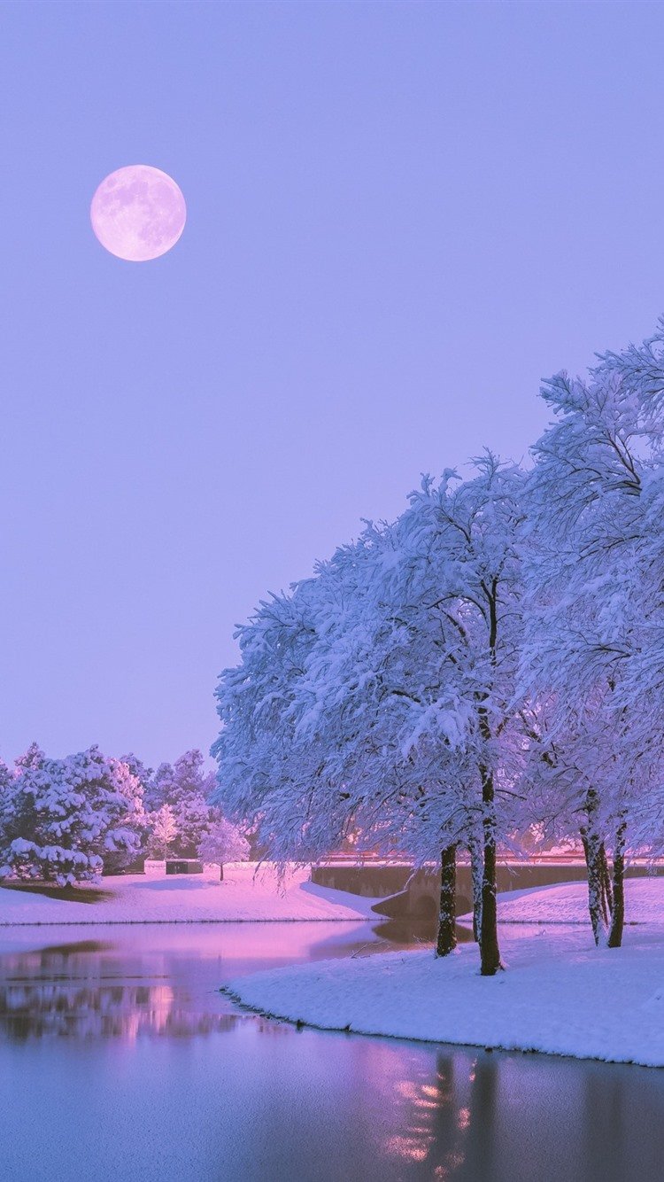 Ягоды в снегу заставка на телефон