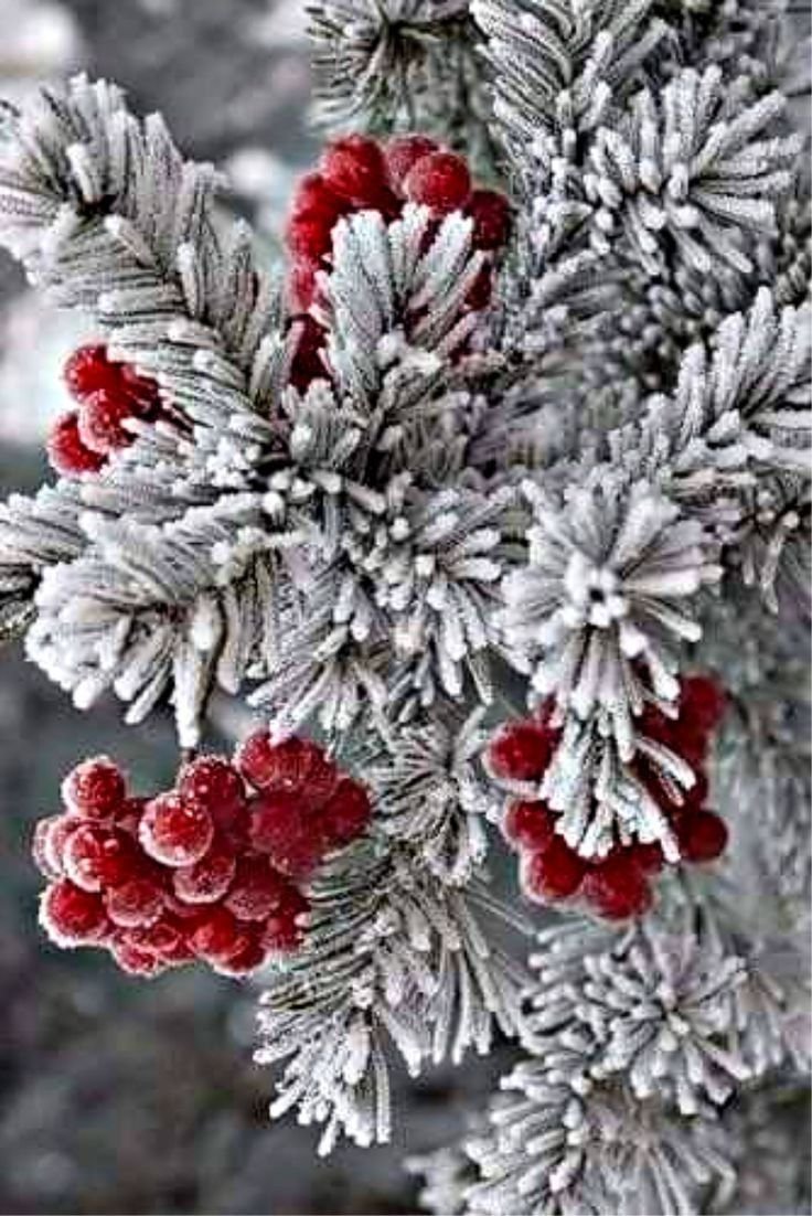 Зимние пейзажи для айфона