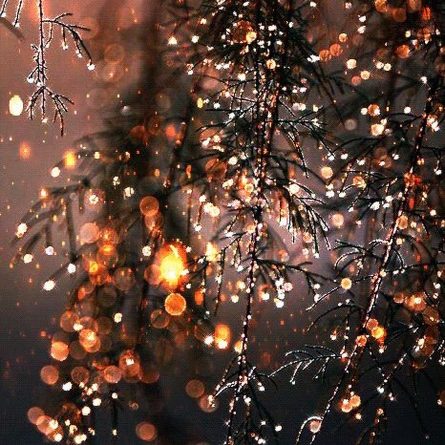 Сказочный зимний лес