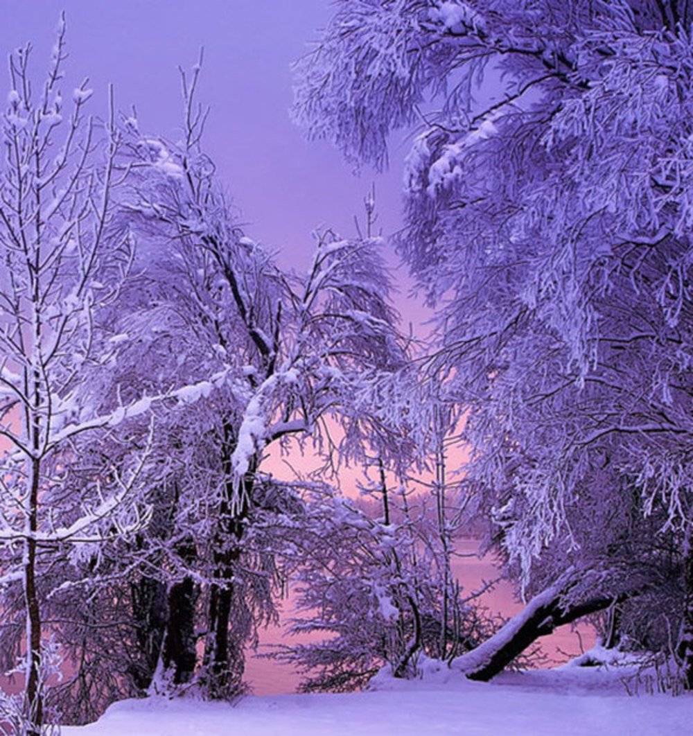 Заставка на телефон зима красивая вертикальные