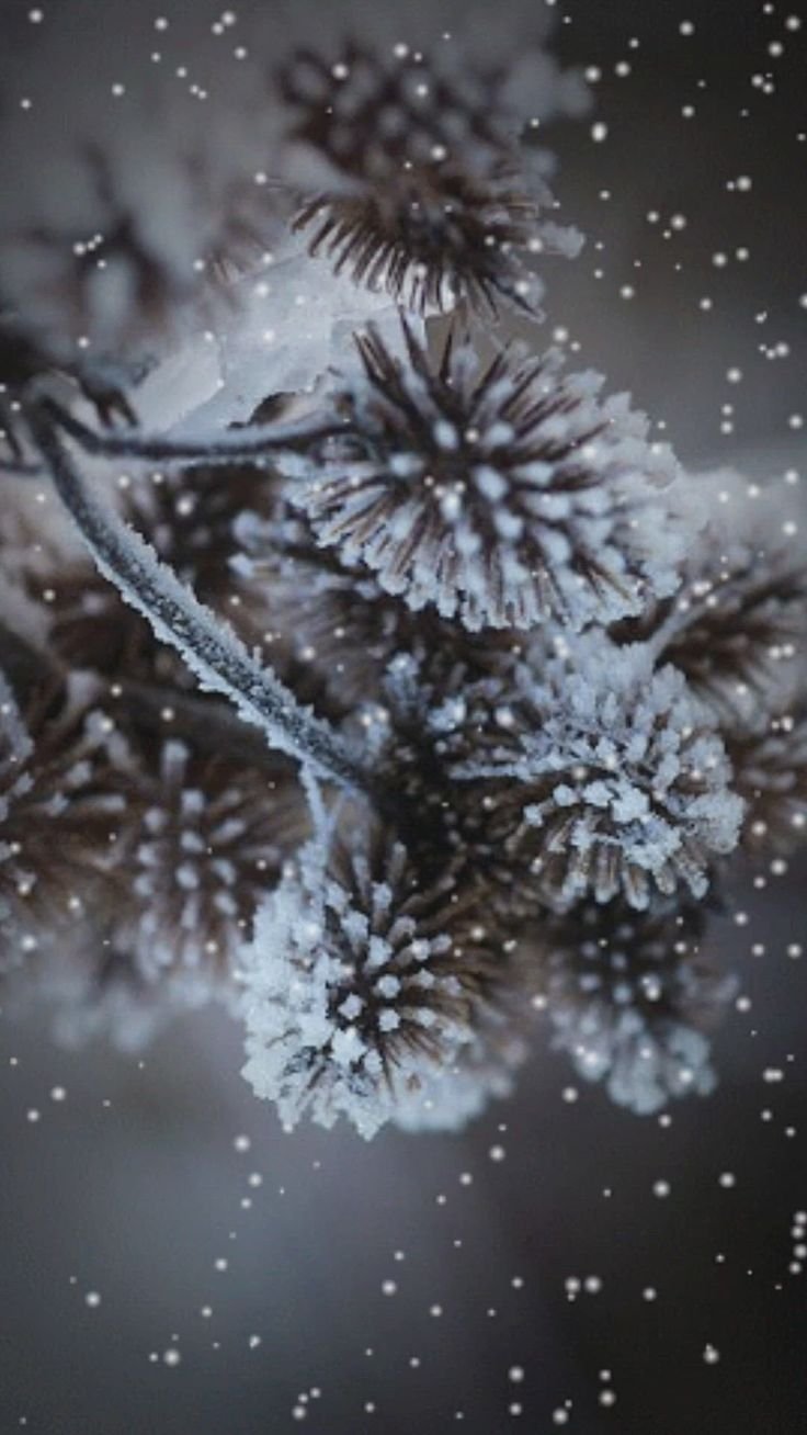 Зимнее настроение