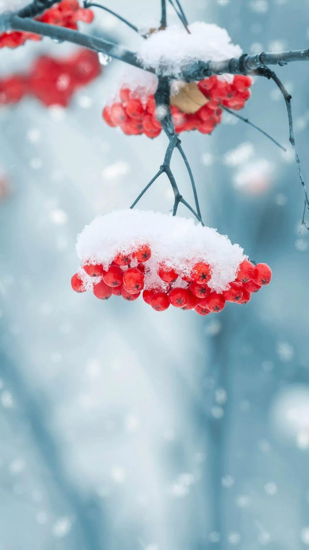 Зимний пейзаж вертикально