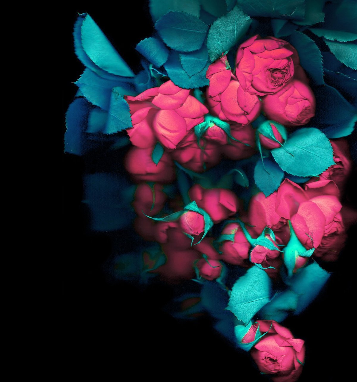 Обои для хонор 20 под камеру