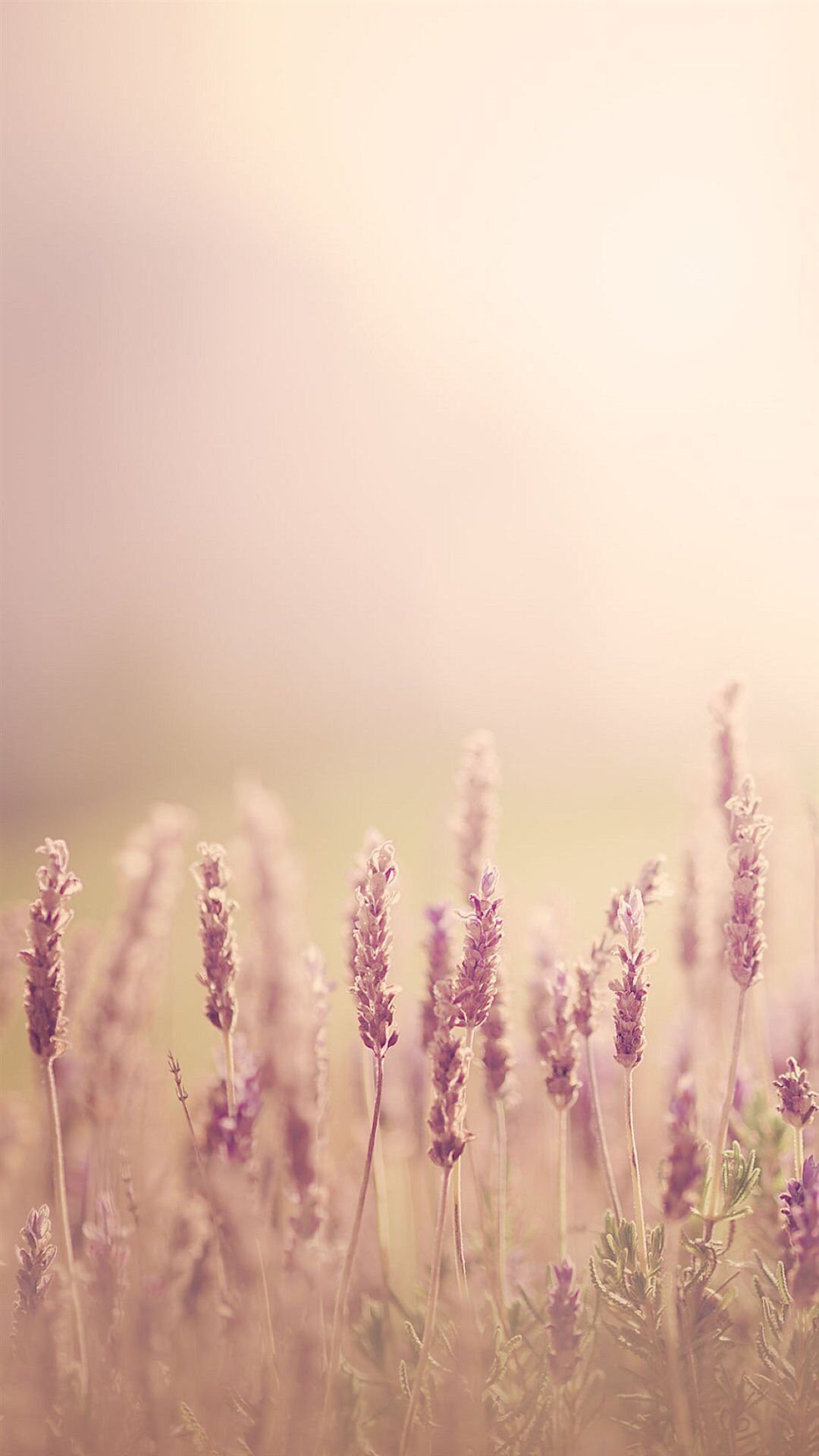 Спокойные пастельные тона