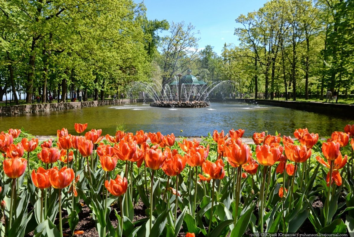 Питер Весна Петергоф парк