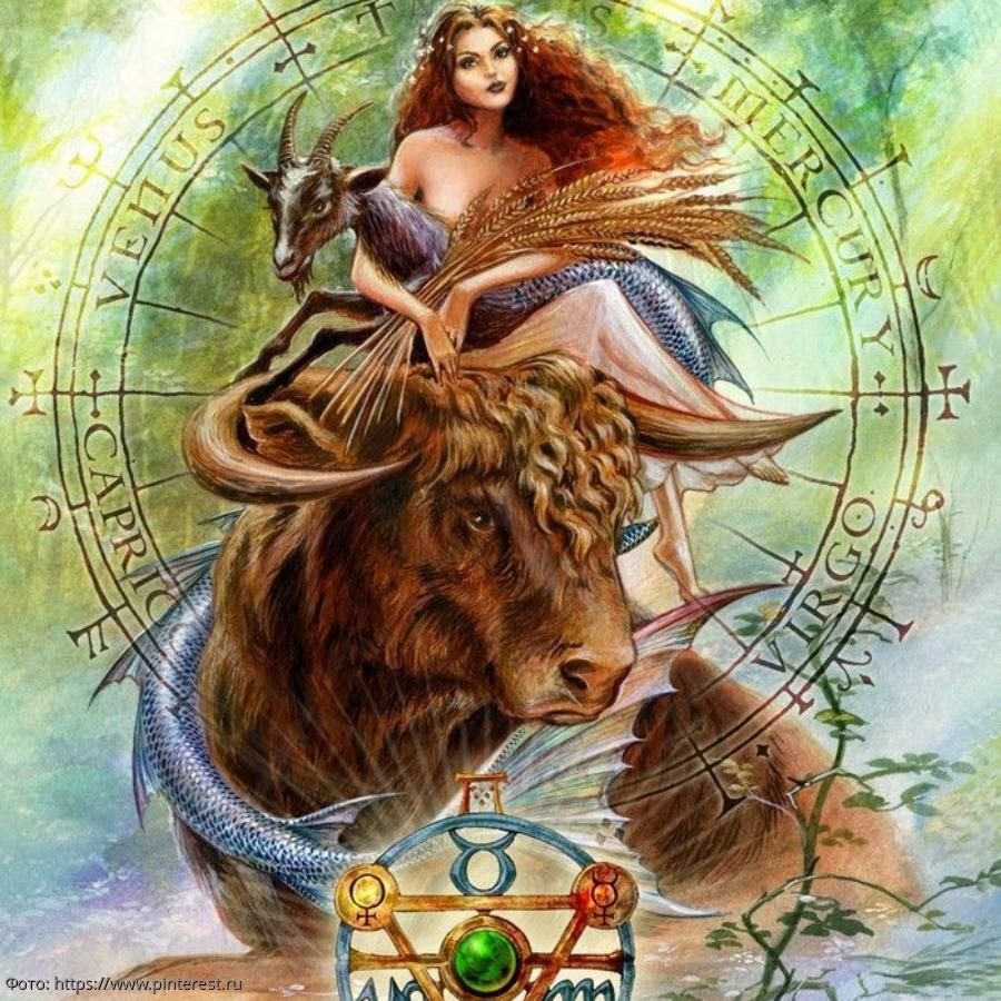 Телец Дева Козерог