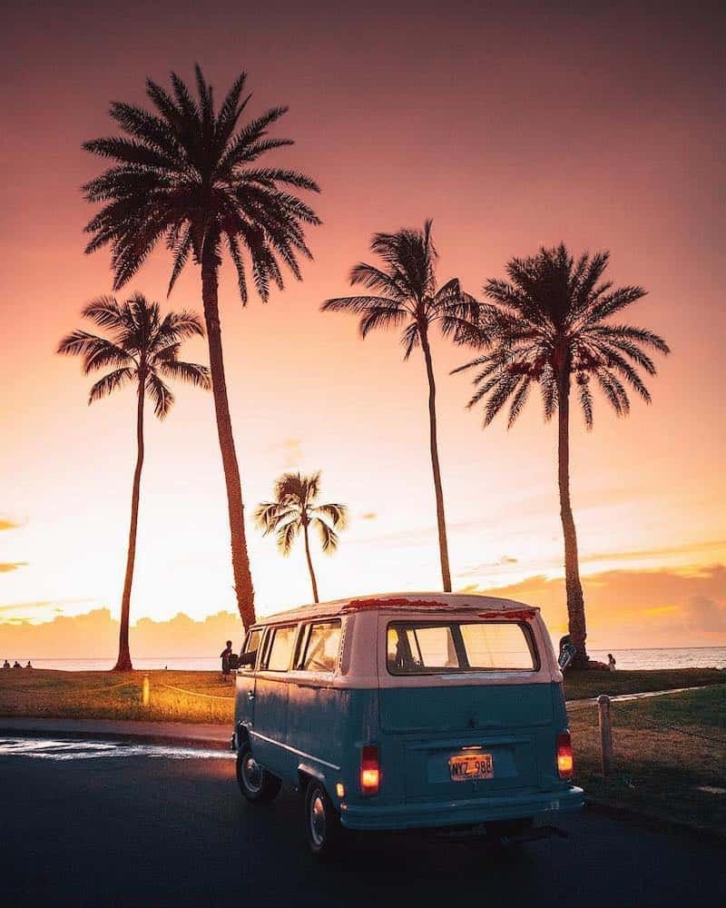 Фольксваген и пальмы