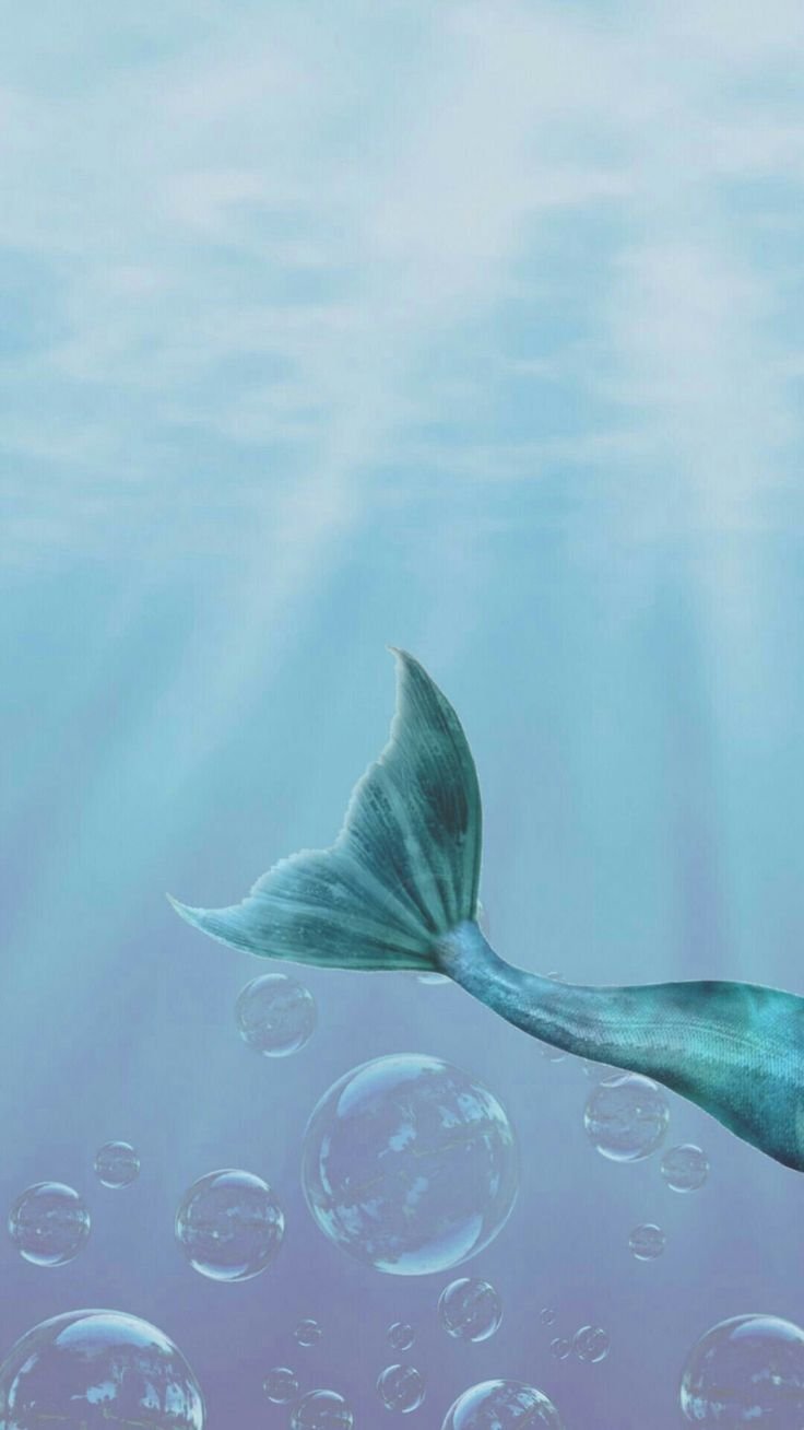 Русалка на заставку