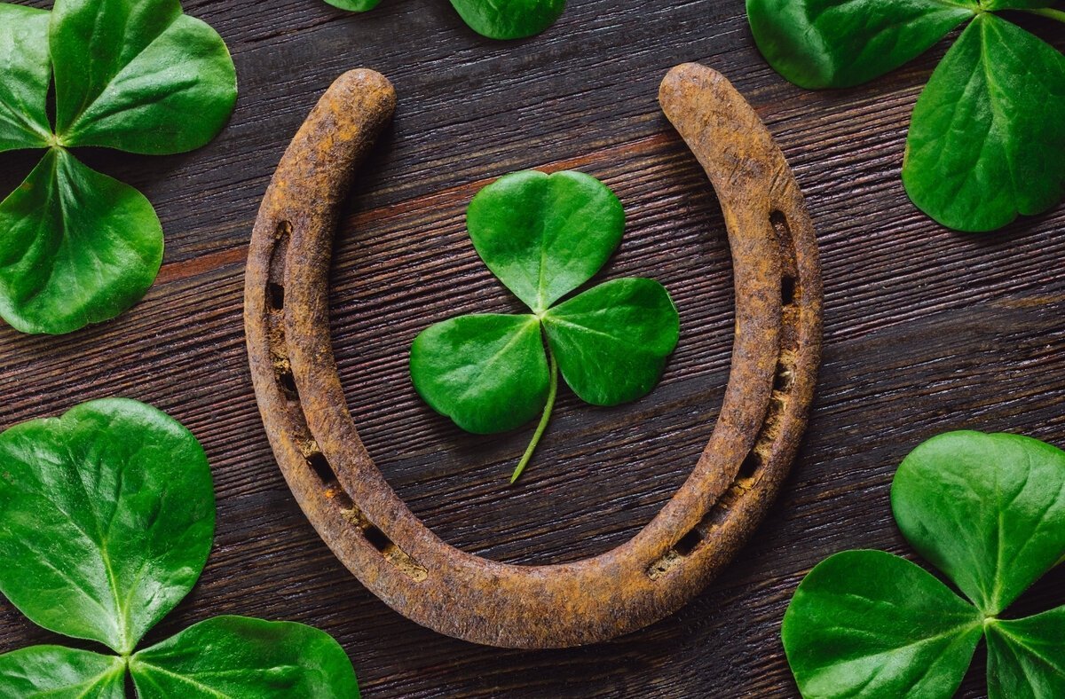 Подкова «удачи и богатства»»