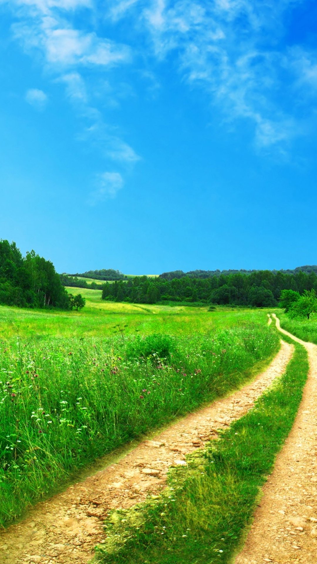 Озеро в лесу