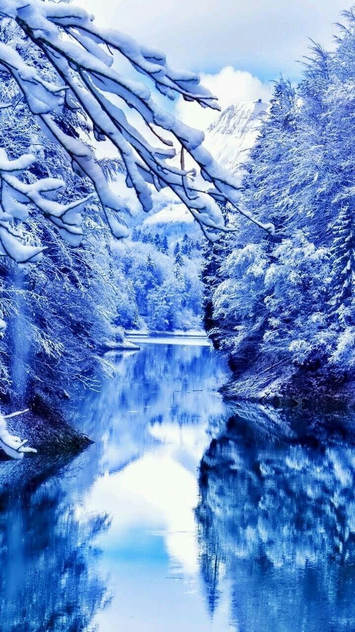 Вертикальное фото