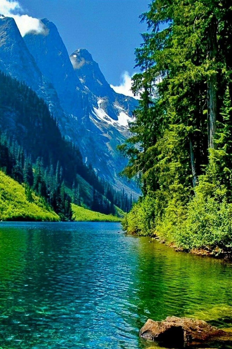 Летний пейзаж