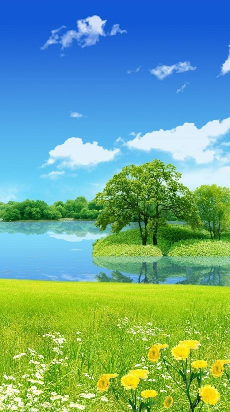 Красивая яркая природа