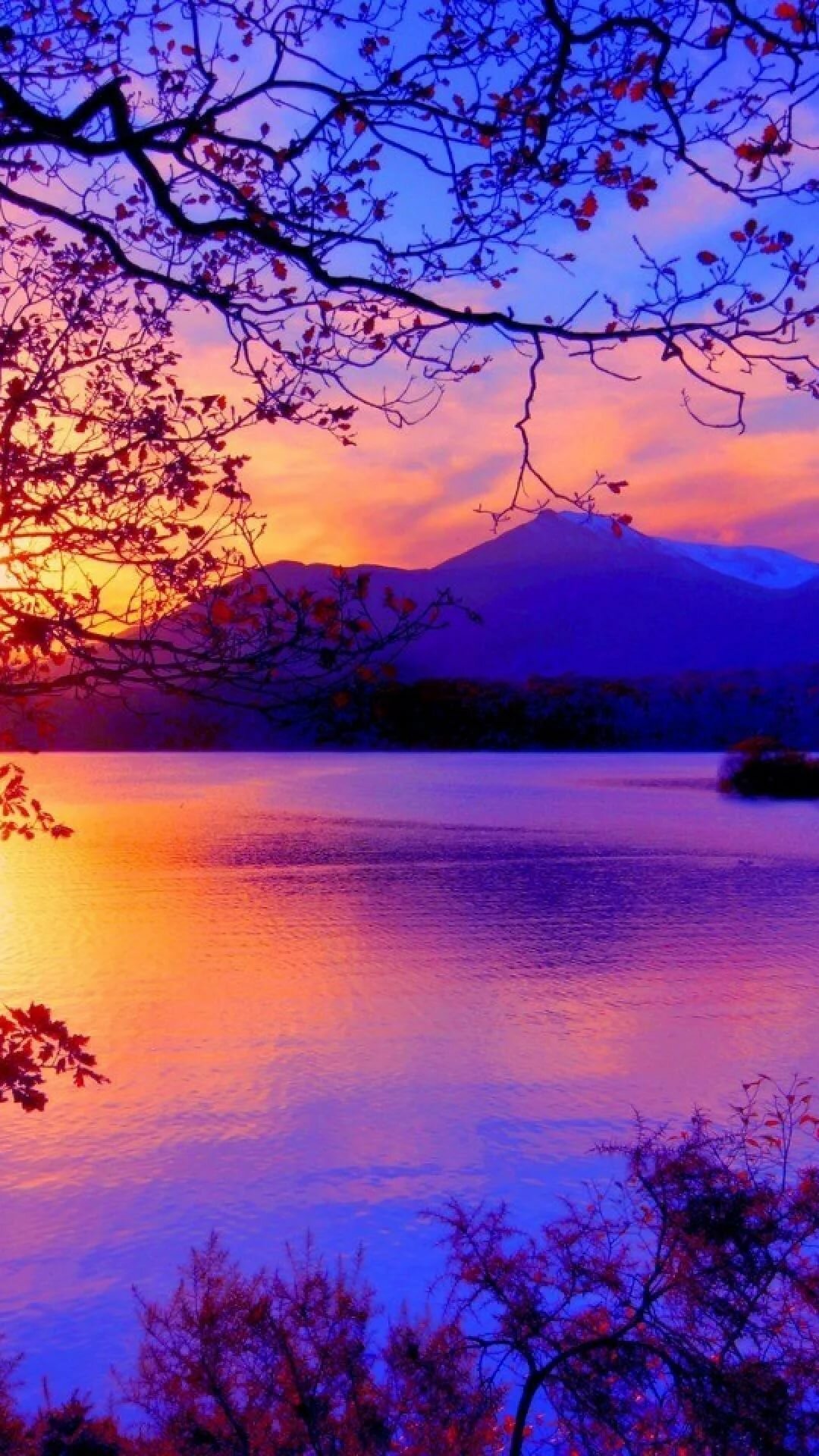 Лето вертикально