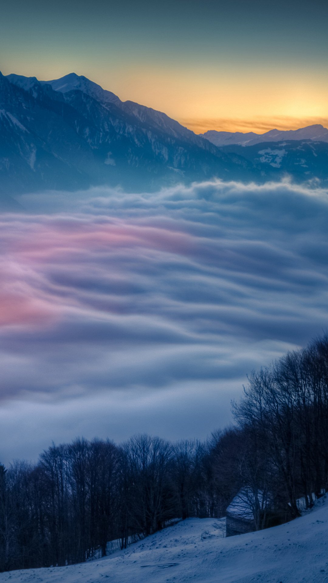 Лето деревья