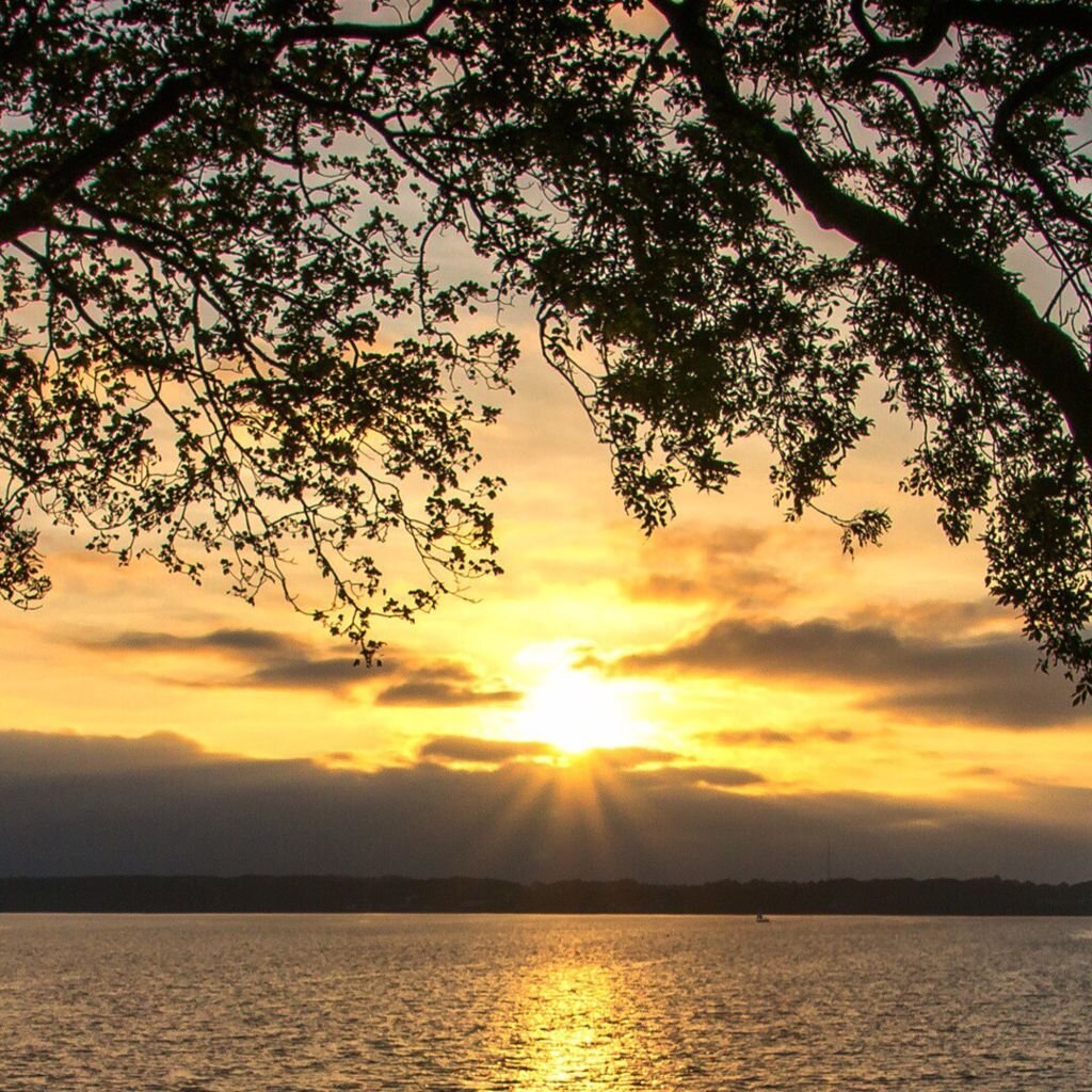 Успокоительные природа