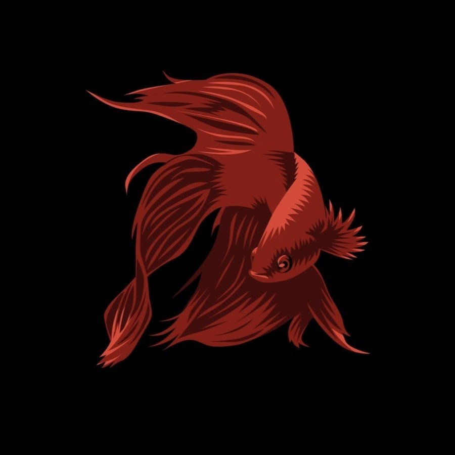 Рыбка на темном фоне