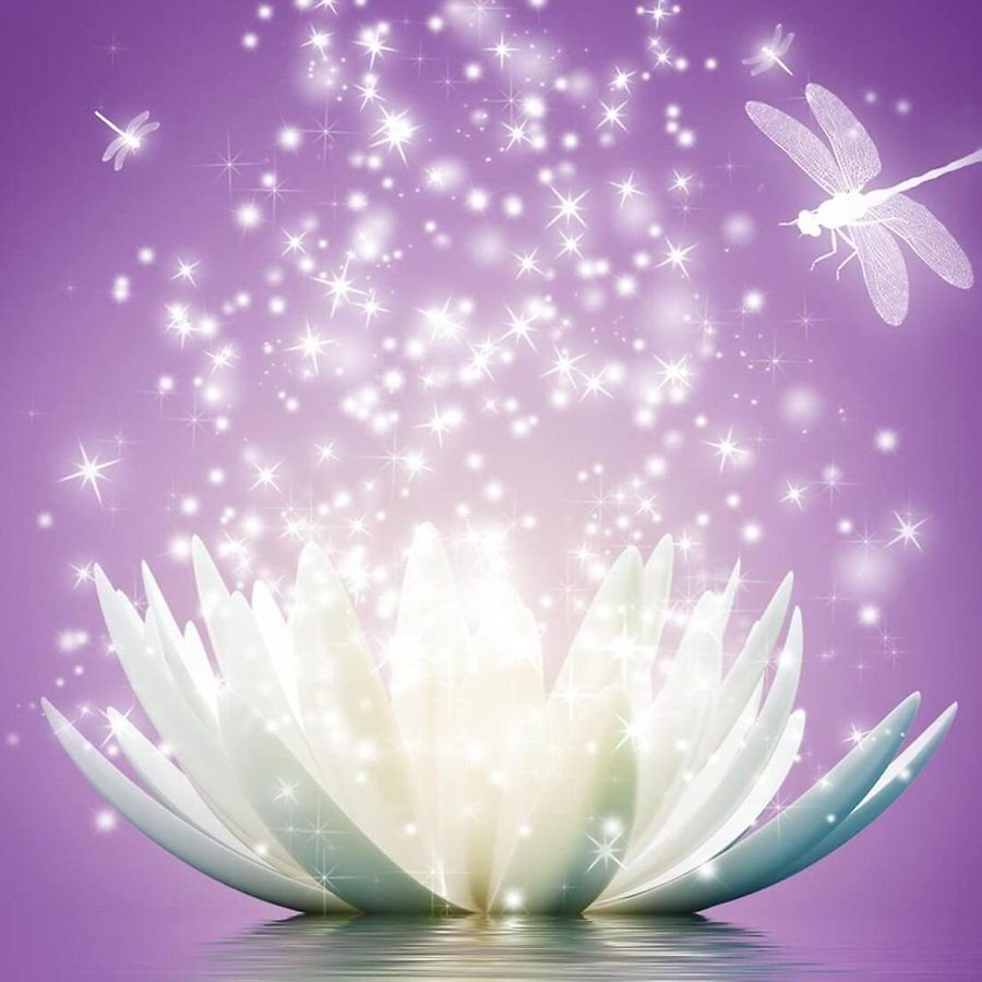 Duong Quoc dinh картины Лотос