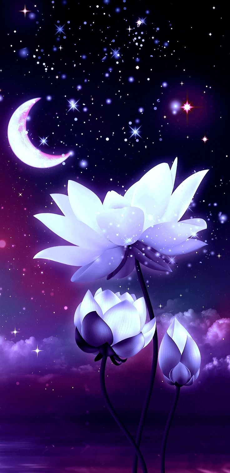 Цветок лотоса на смартфон