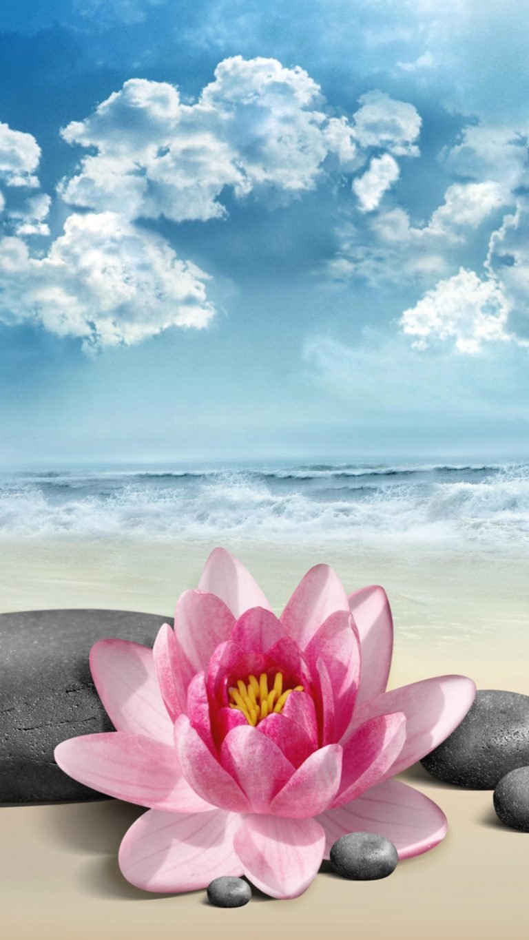 Цветы на воде