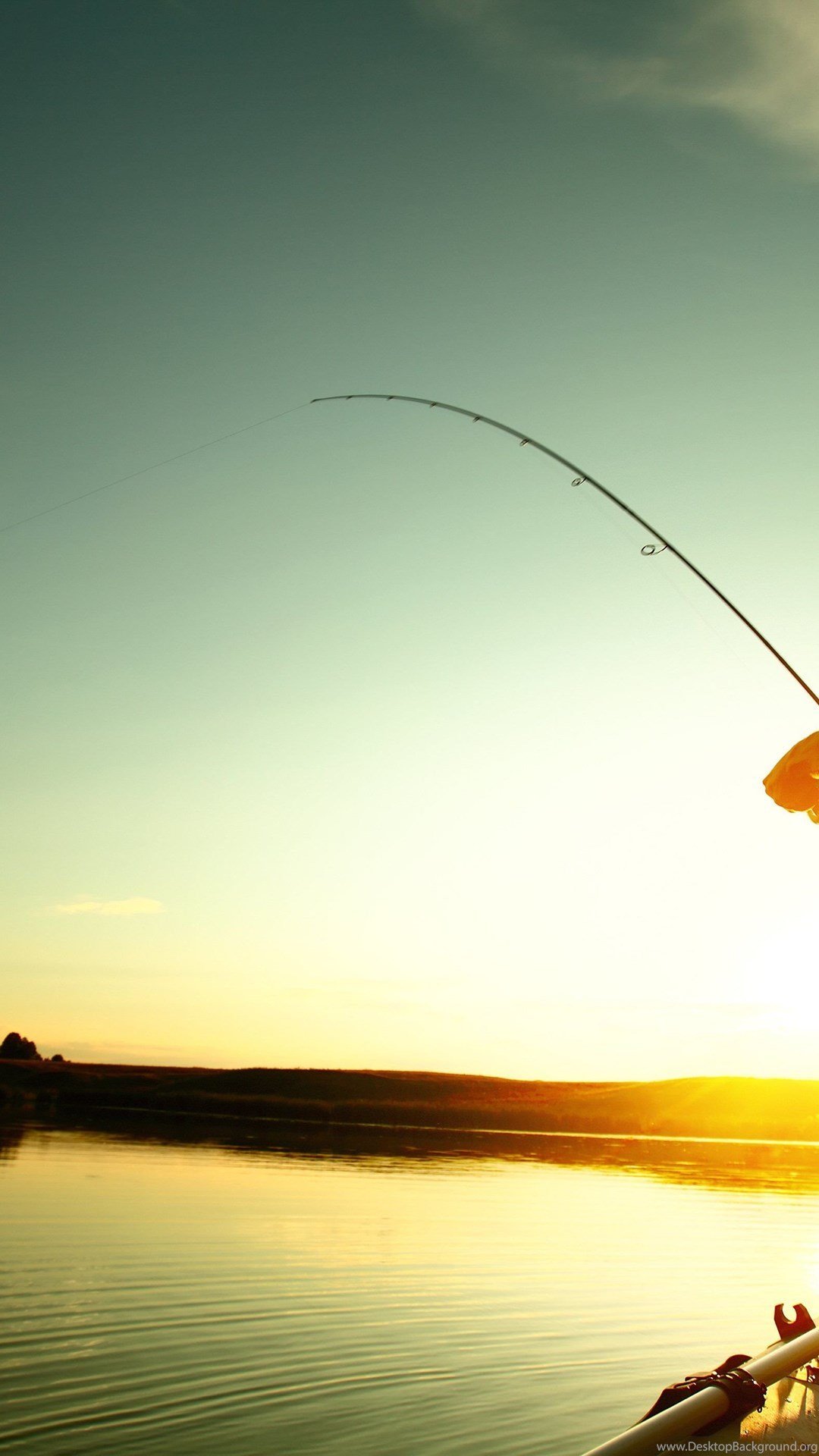 Лето рыбалка